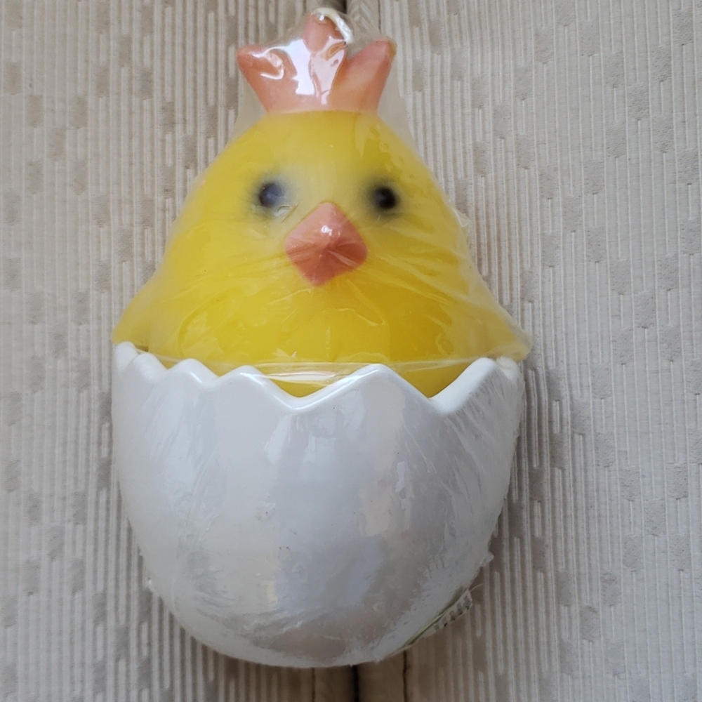 Big chick candle in dish